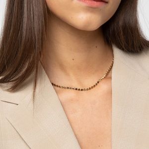 NWT Oak + Fort minimal gold disk chain necklace
